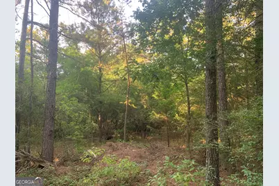 0 Pedenville Road, Concord, GA 30206 - Photo 17