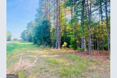 0 Pedenville Road, Concord, GA 30206 - Photo 9