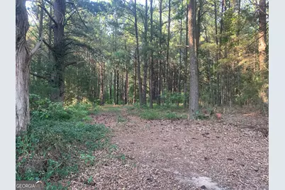 0 Pedenville Road, Concord, GA 30206 - Photo 29