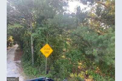 0 Pedenville Road, Concord, GA 30206 - Photo 37