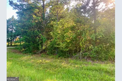 0 Pedenville Road, Concord, GA 30206 - Photo 35