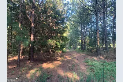 0 Pedenville Road, Concord, GA 30206 - Photo 25