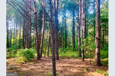 0 Pedenville Road, Concord, GA 30206 - Photo 27