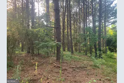 0 Pedenville Road, Concord, GA 30206 - Photo 21