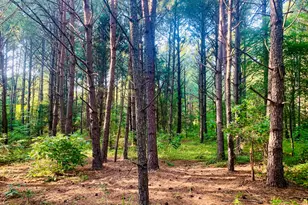 0 Pedenville Rd, Concord, GA 30206 - Photo 1