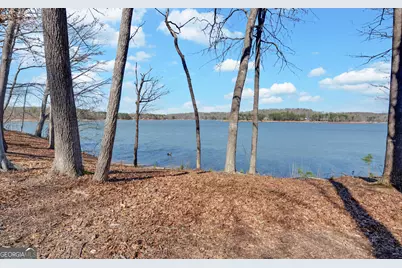 114 Blue Ridge Place, Lavonia, GA 30553 - Photo 5