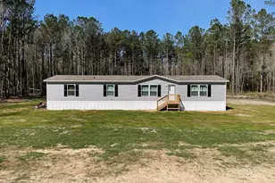 5571 Old Dixie Rd, Springfield, GA 31329 - Photo 1