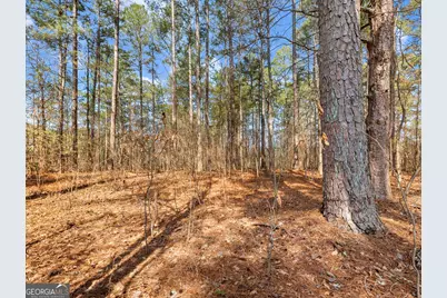 1686 Shoal Creek Road, Monroe, GA 30656 - Photo 41