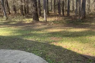 137 Honey Creek Rd, McDonough, GA 30252 - Photo 15