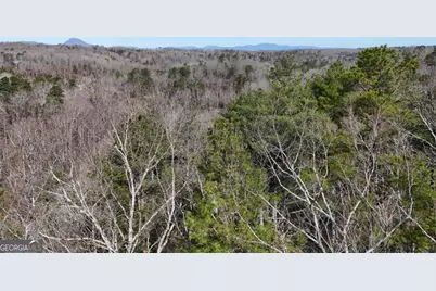 Lot #8 Casa Rio Drive, Cornelia, GA 30531 - Photo 17