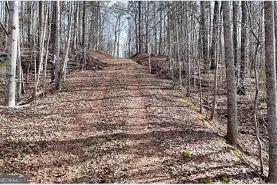 Lot #8 Casa Rio Drive, Cornelia, GA 30531 - Photo 5
