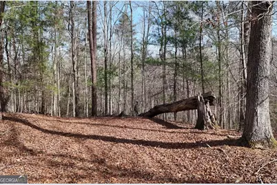 Lot #8 Casa Rio Drive, Cornelia, GA 30531 - Photo 9