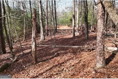 Lot #8 Casa Rio Drive, Cornelia, GA 30531 - Photo 13