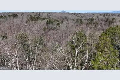 Lot #8 Casa Rio Drive, Cornelia, GA 30531 - Photo 15