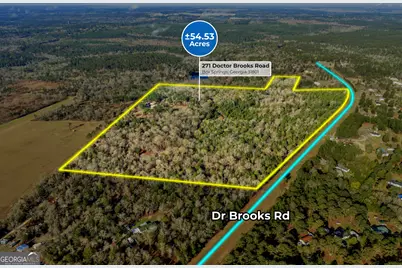 271 Dr Brooks Road, Box Springs, GA 31801 - Photo 1