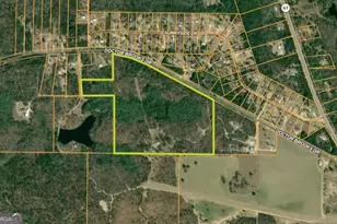 271 Dr Brooks Rd, Box Springs, GA 31801 - Photo 63