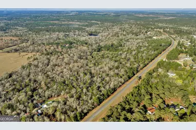 271 Dr Brooks Road, Box Springs, GA 31801 - Photo 11