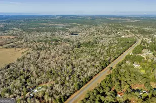 271 Dr Brooks Rd, Box Springs, GA 31801 - Photo 11