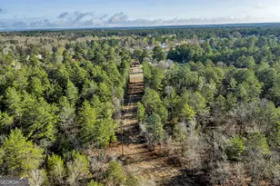 271 Dr Brooks Rd, Box Springs, GA 31801 - Photo 9