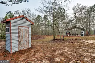 271 Dr Brooks Rd, Box Springs, GA 31801 - Photo 53