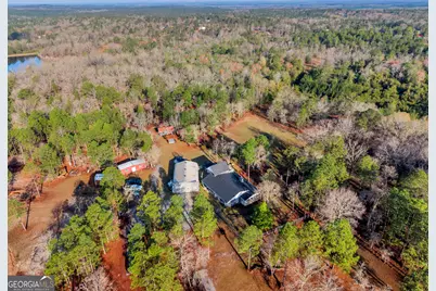 271 Dr Brooks Road, Box Springs, GA 31801 - Photo 3