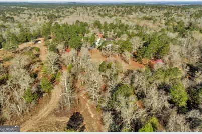 271 Dr Brooks Road, Box Springs, GA 31801 - Photo 5