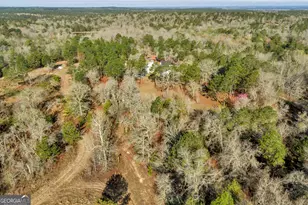 271 Dr Brooks Rd, Box Springs, GA 31801 - Photo 5