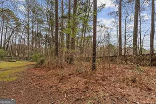 120 Chateau Cir, Fayetteville, GA 30215 - Photo 41