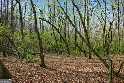 2335 Stonepile Road #LOT 2, Clarkesville, GA 30523 - Photo 15