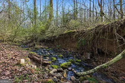 2335 Stonepile Road #LOT 2, Clarkesville, GA 30523 - Photo 7