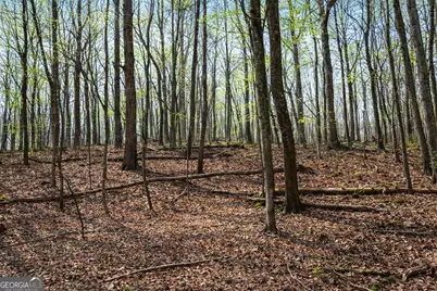 2335 Stonepile Road #LOT 2, Clarkesville, GA 30523 - Photo 11