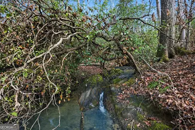 2335 Stonepile Road #LOT 2, Clarkesville, GA 30523 - Photo 19