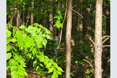 7126 Browns Mill Road, Lithonia, GA 30038 - Photo 3