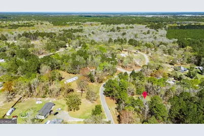 230 Pine Needle Drive, Ellabell, GA 31308 - Photo 35