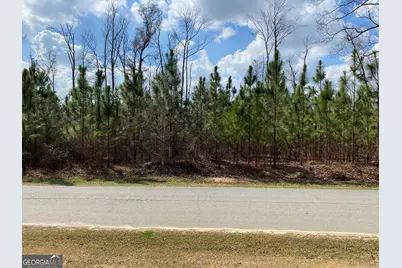 0 Baker Rd, Waverly Hall, GA 31831 - Photo 3