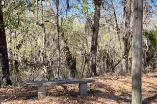 265 Big Cypress Dr, Bloomingdale, GA 31302 - Photo 3