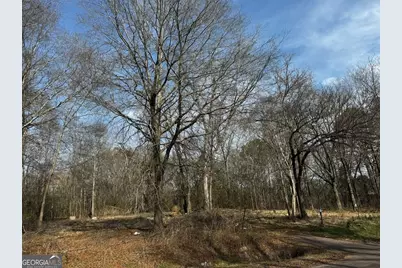 135 Joe Carey Road, Winterville, GA 30683 - Photo 1