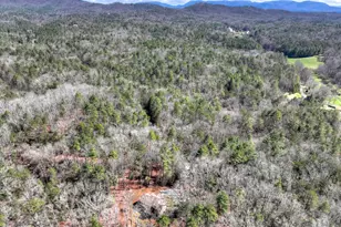 175 Mountain Springs Rd, Ellijay, GA 30540 - Photo 13