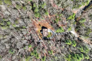 175 Mountain Springs Rd, Ellijay, GA 30540 - Photo 9