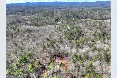 175 Mountain Springs Road, Ellijay, GA 30540 - Photo 11