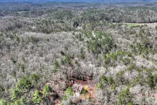 175 Mountain Springs Rd, Ellijay, GA 30540 - Photo 11