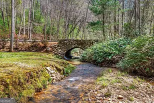 310 Blue Ridge Dr, Sautee Nacoochee, GA 30571 - Photo 47