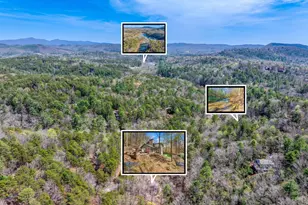 310 Blue Ridge Dr, Sautee Nacoochee, GA 30571 - Photo 59