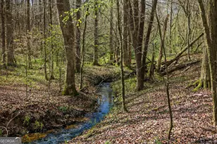 2325 Stonepile Rd, Clarkesville, GA 30523 - Photo 1