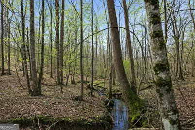 2325 Stonepile Road #LOT 3, Clarkesville, GA 30523 - Photo 9