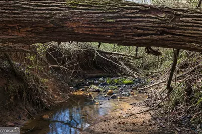 2325 Stonepile Road #LOT 3, Clarkesville, GA 30523 - Photo 7