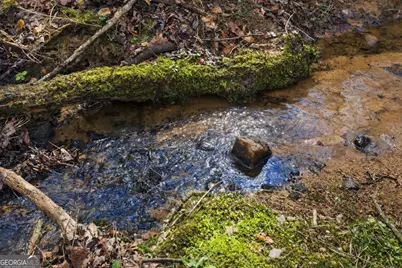 2325 Stonepile Road #LOT 3, Clarkesville, GA 30523 - Photo 5