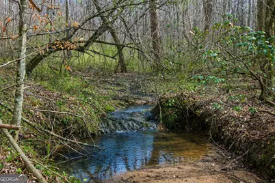 2325 Stonepile Road #LOT 3, Clarkesville, GA 30523 - Photo 3