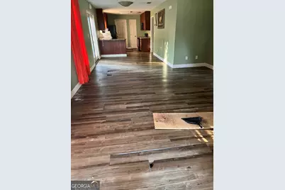 211 Malaga Street, Pelham, GA 31779 - Photo 9