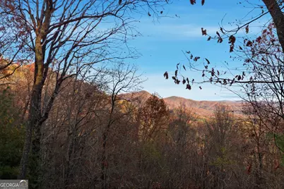 271 Limelight Drive, Clayton, GA 30525 - Photo 29